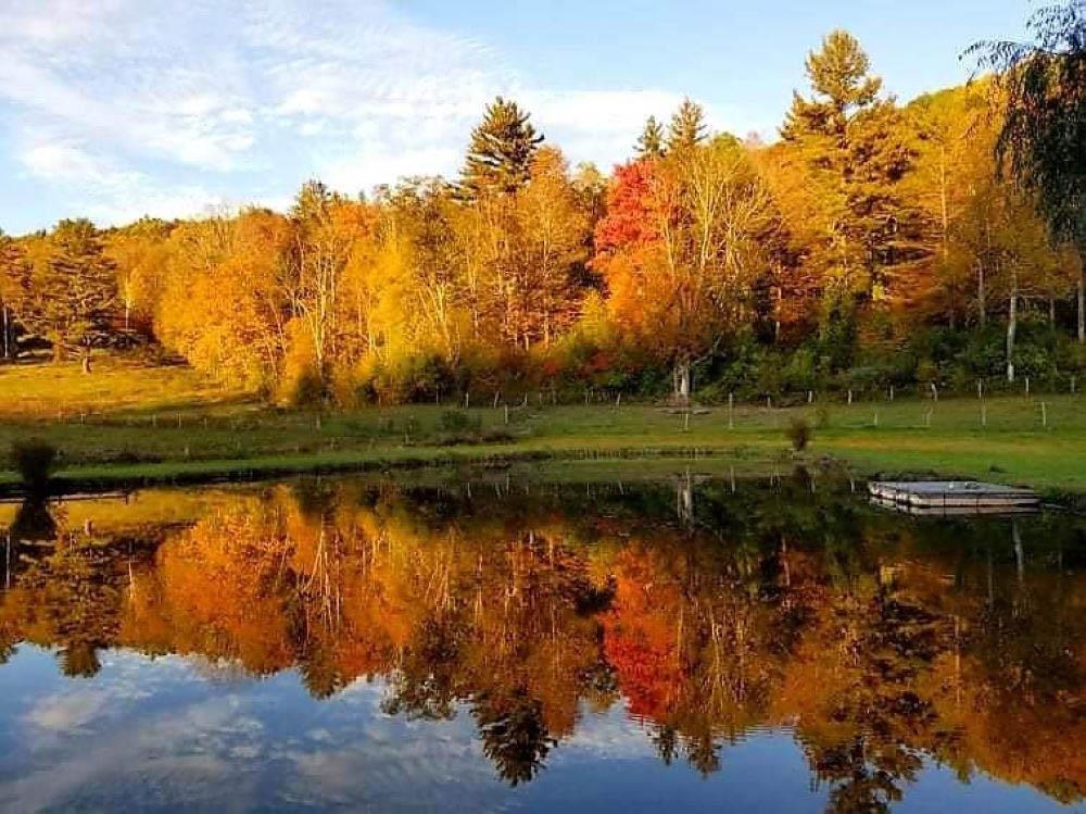 849 Saxtons River Road Rockingham, VT 05143 - Photo 37 of 43