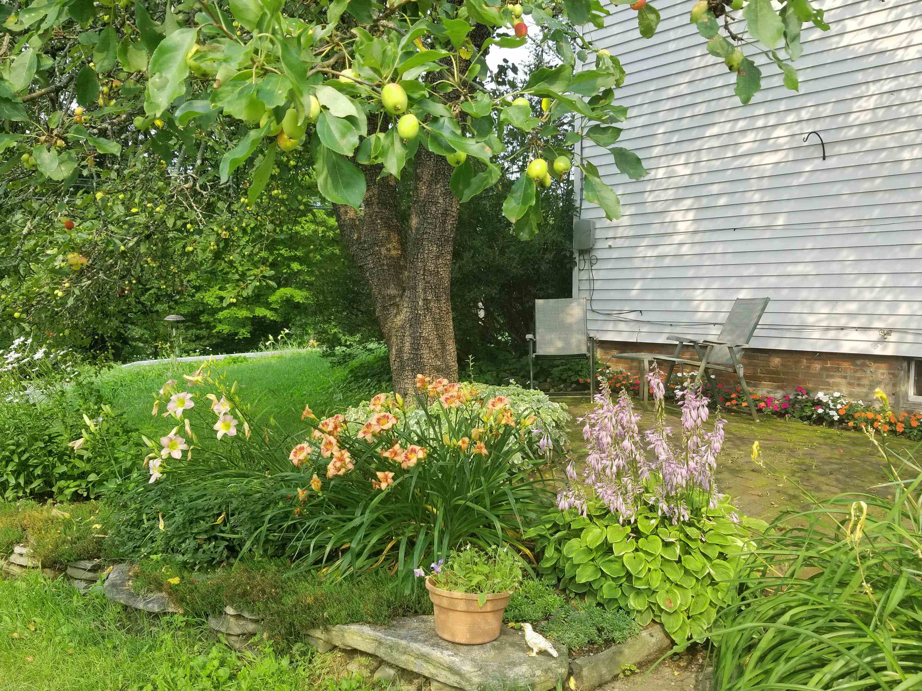 849 Saxtons River Road Rockingham, VT 05143 - Photo 43 of 43