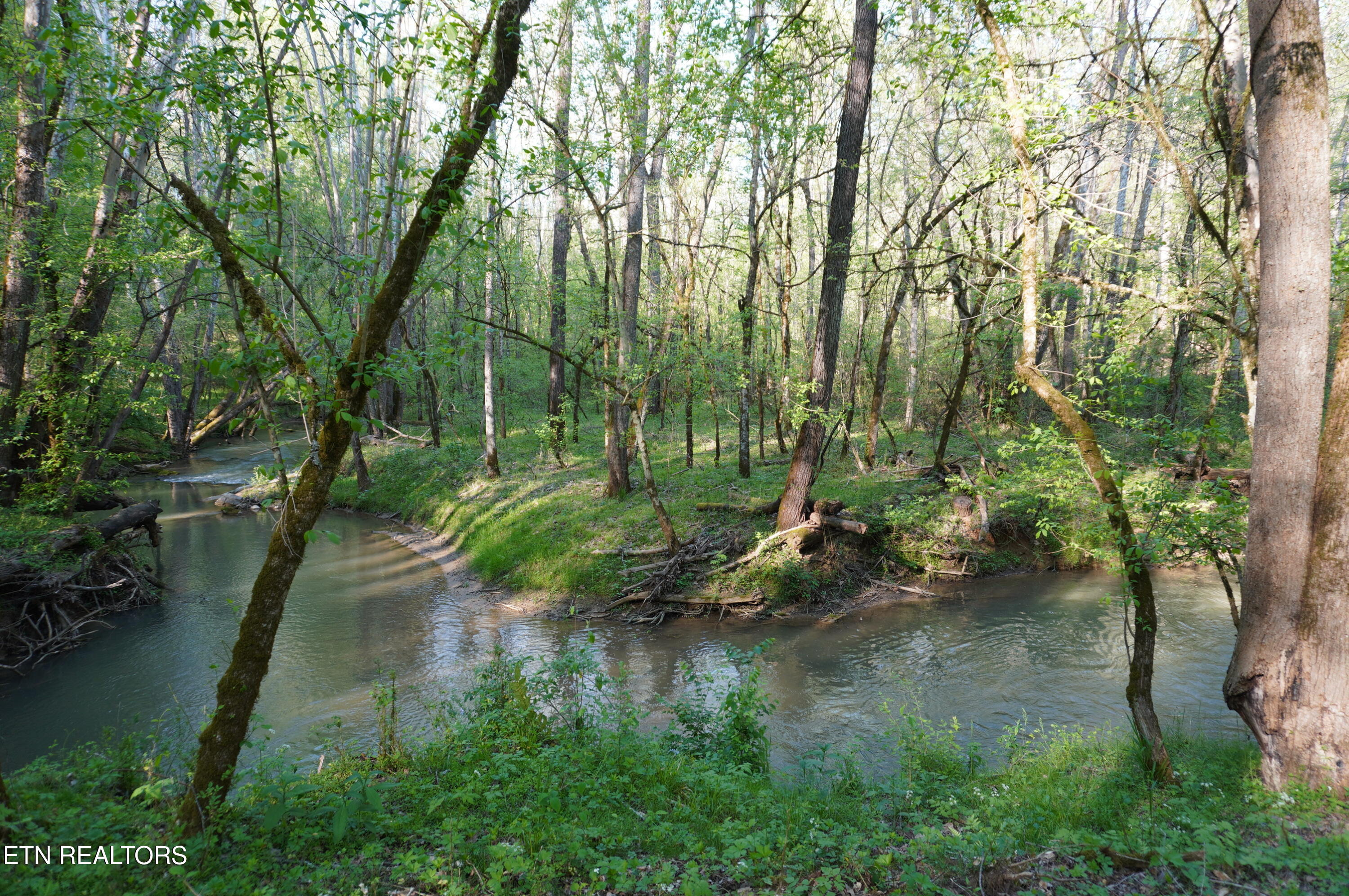 1-2 Golf Course Road Newport, TN 37821 - Photo 1 of 31 primary LOT 1A golf course rd - davidso