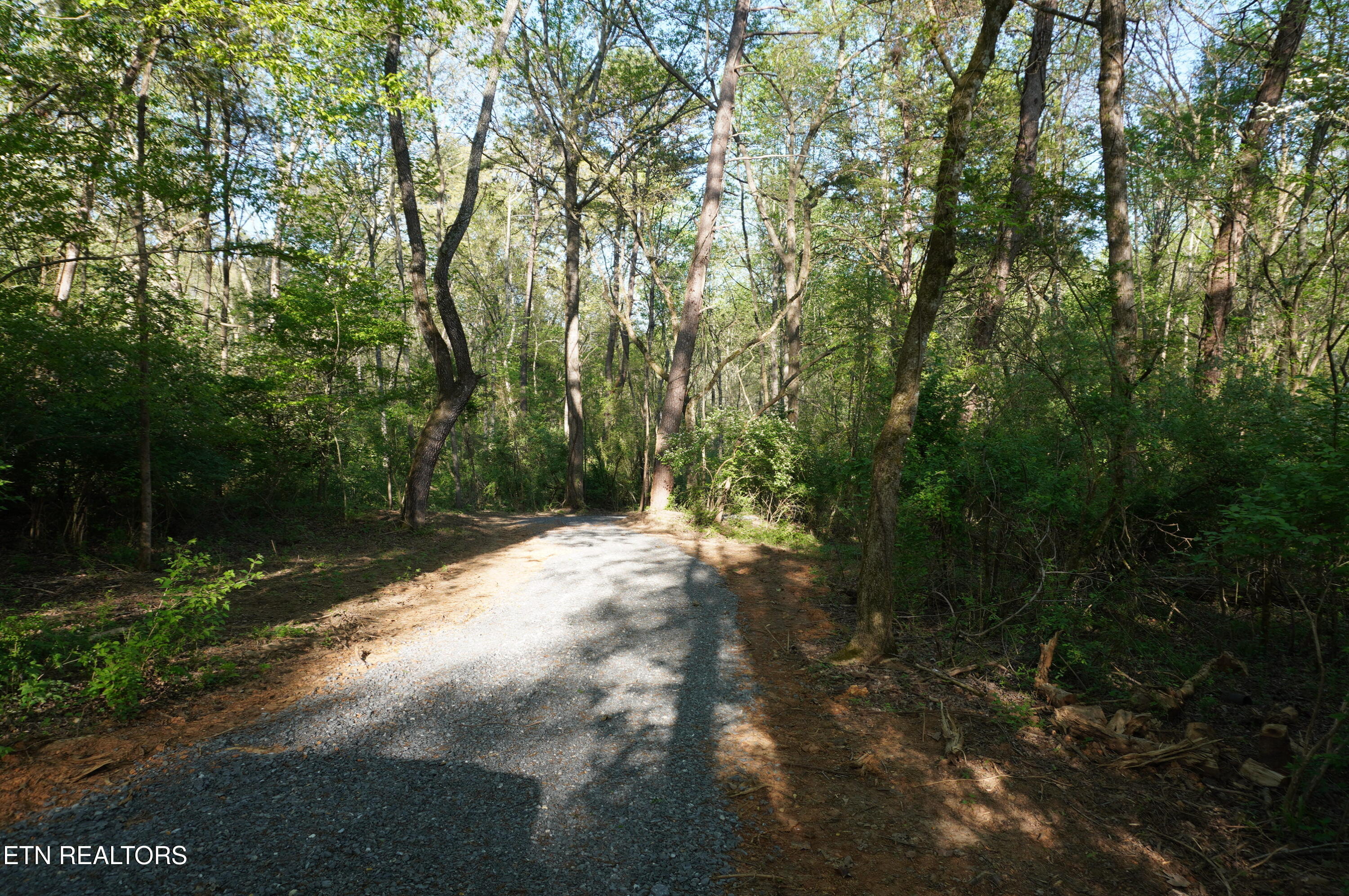 1-2 Golf Course Road Newport, TN 37821 - Photo 11 of 31 LOT 1A golf course rd - davidson (10)