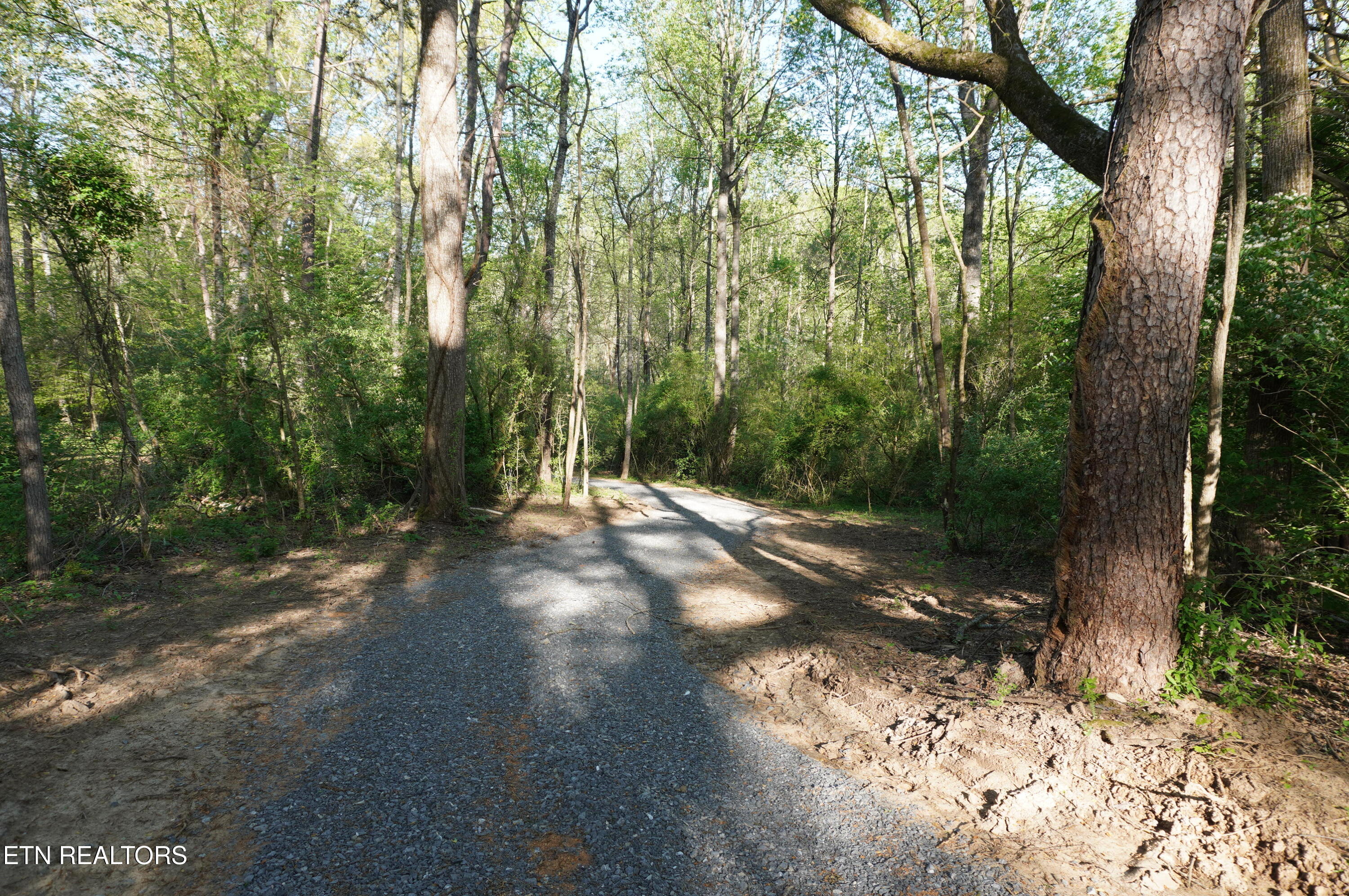 1-2 Golf Course Road Newport, TN 37821 - Photo 13 of 31 LOT 1A golf course rd - davidson (25)