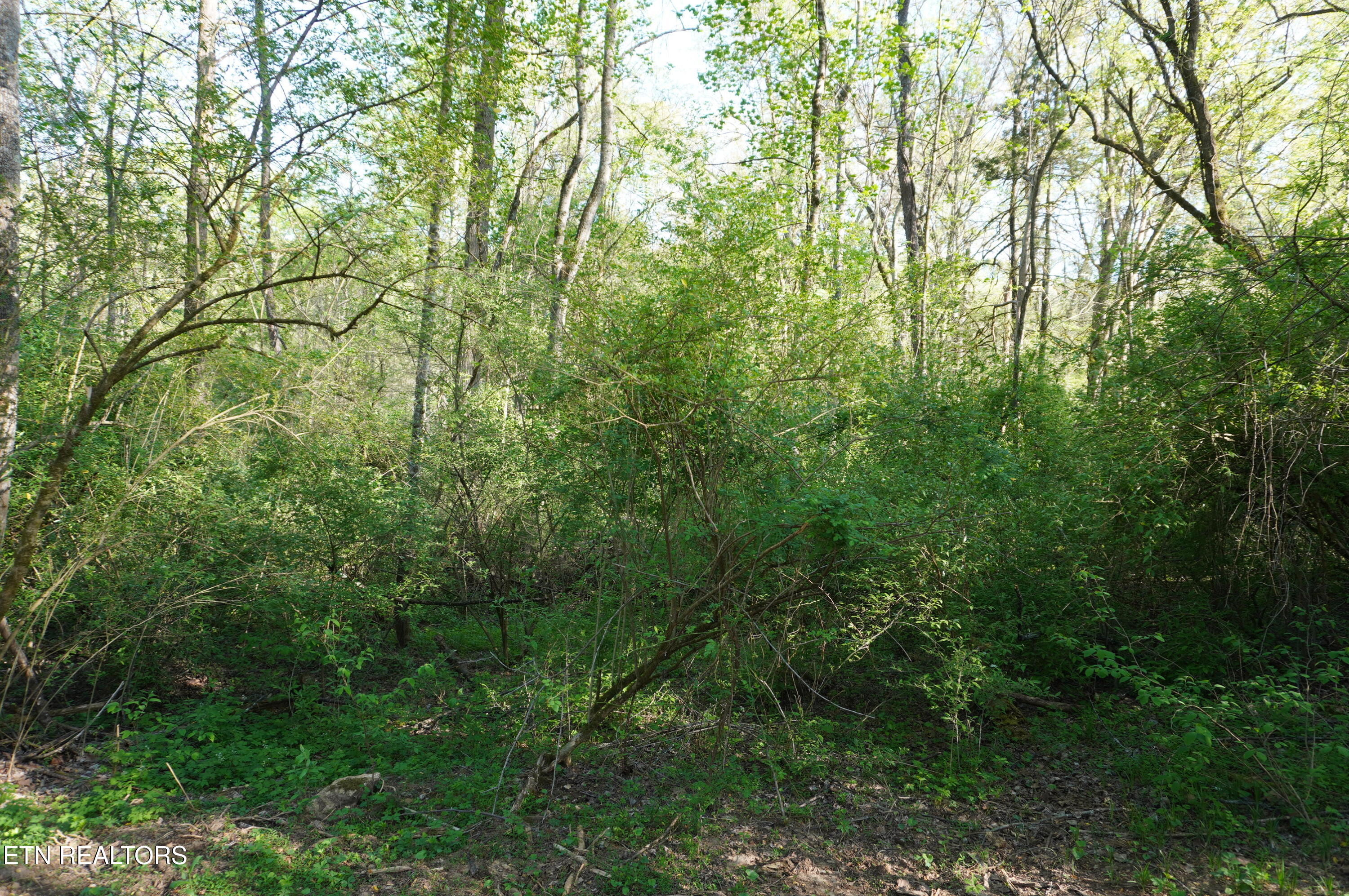 1-2 Golf Course Road Newport, TN 37821 - Photo 15 of 31 LOT 1A golf course rd - davidson (27)