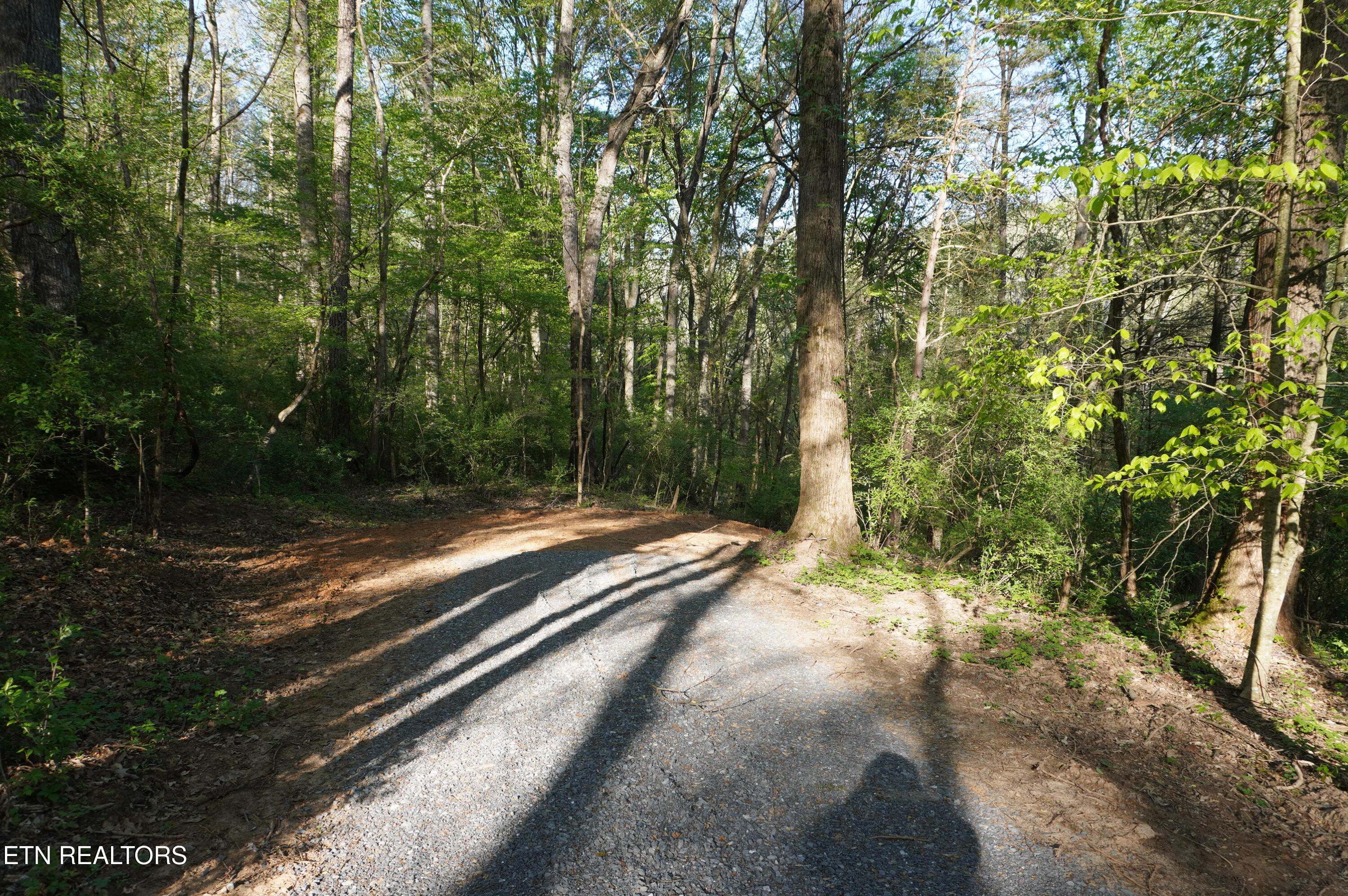 1-2 Golf Course Road Newport, TN 37821 - Photo 16 of 31 LOT 1A golf course rd - davidson (28)