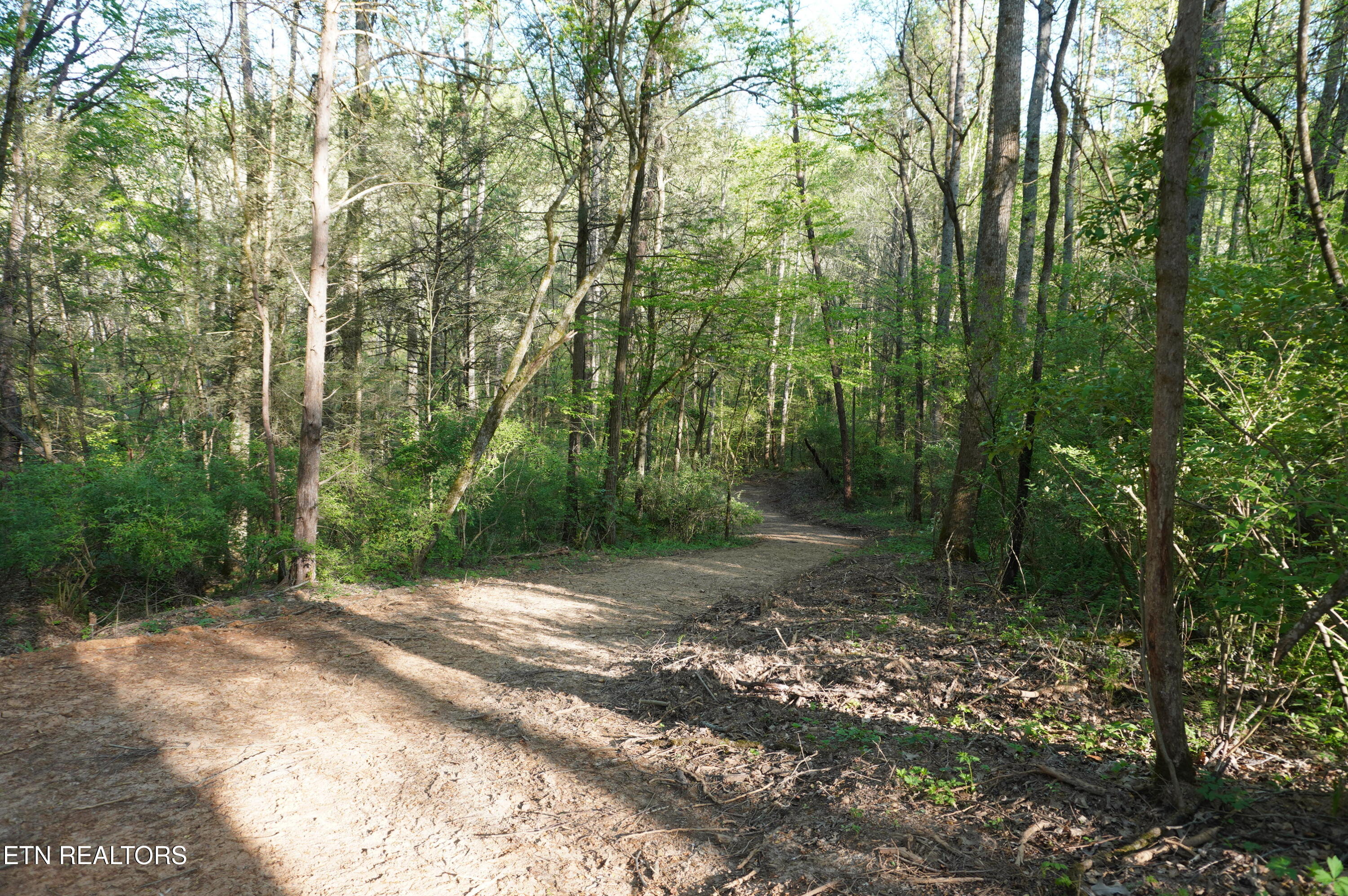 1-2 Golf Course Road Newport, TN 37821 - Photo 17 of 31 LOT 1A golf course rd - davidson (29)