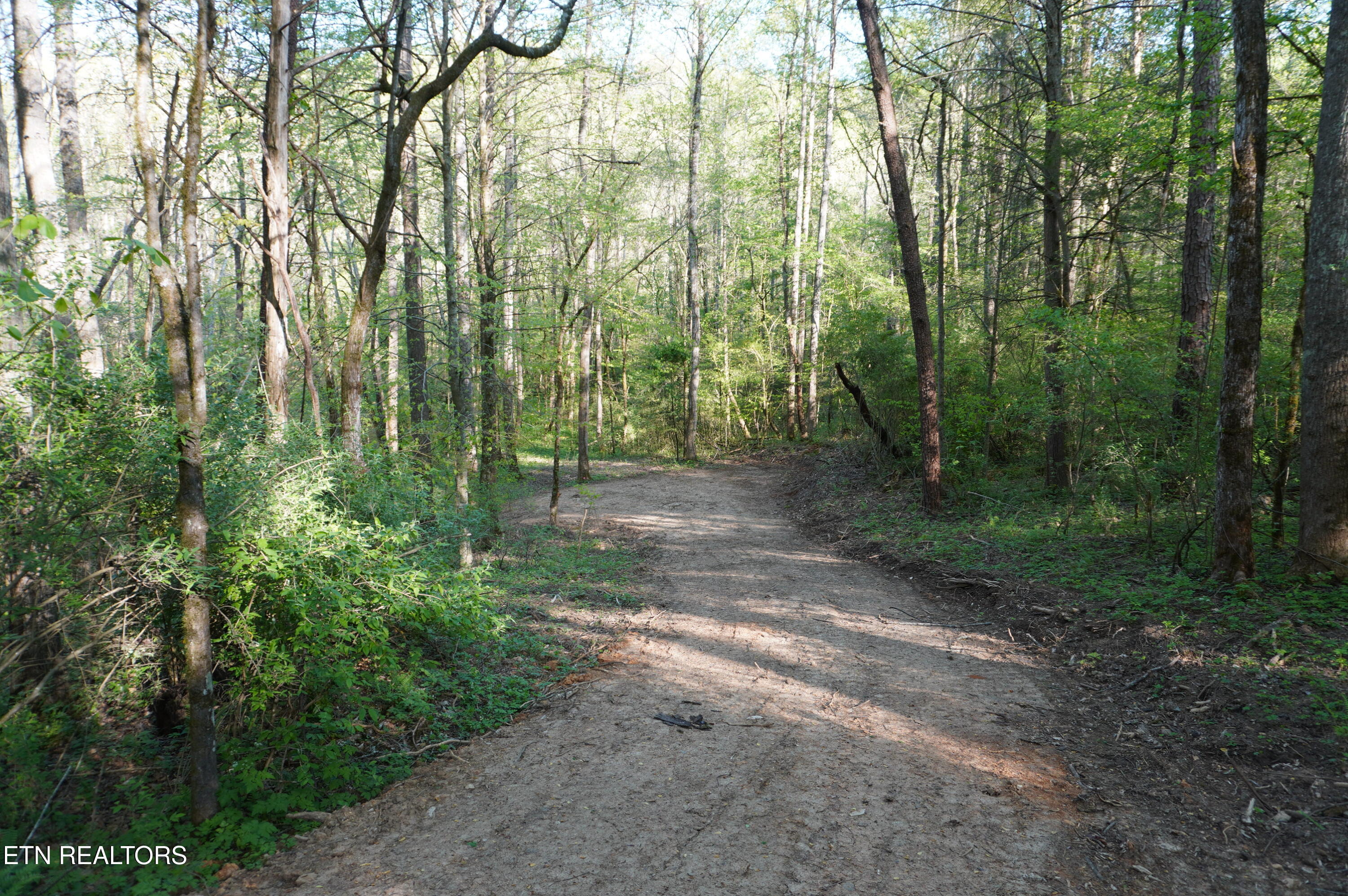 1-2 Golf Course Road Newport, TN 37821 - Photo 18 of 31 LOT 1A golf course rd - davidson (30)