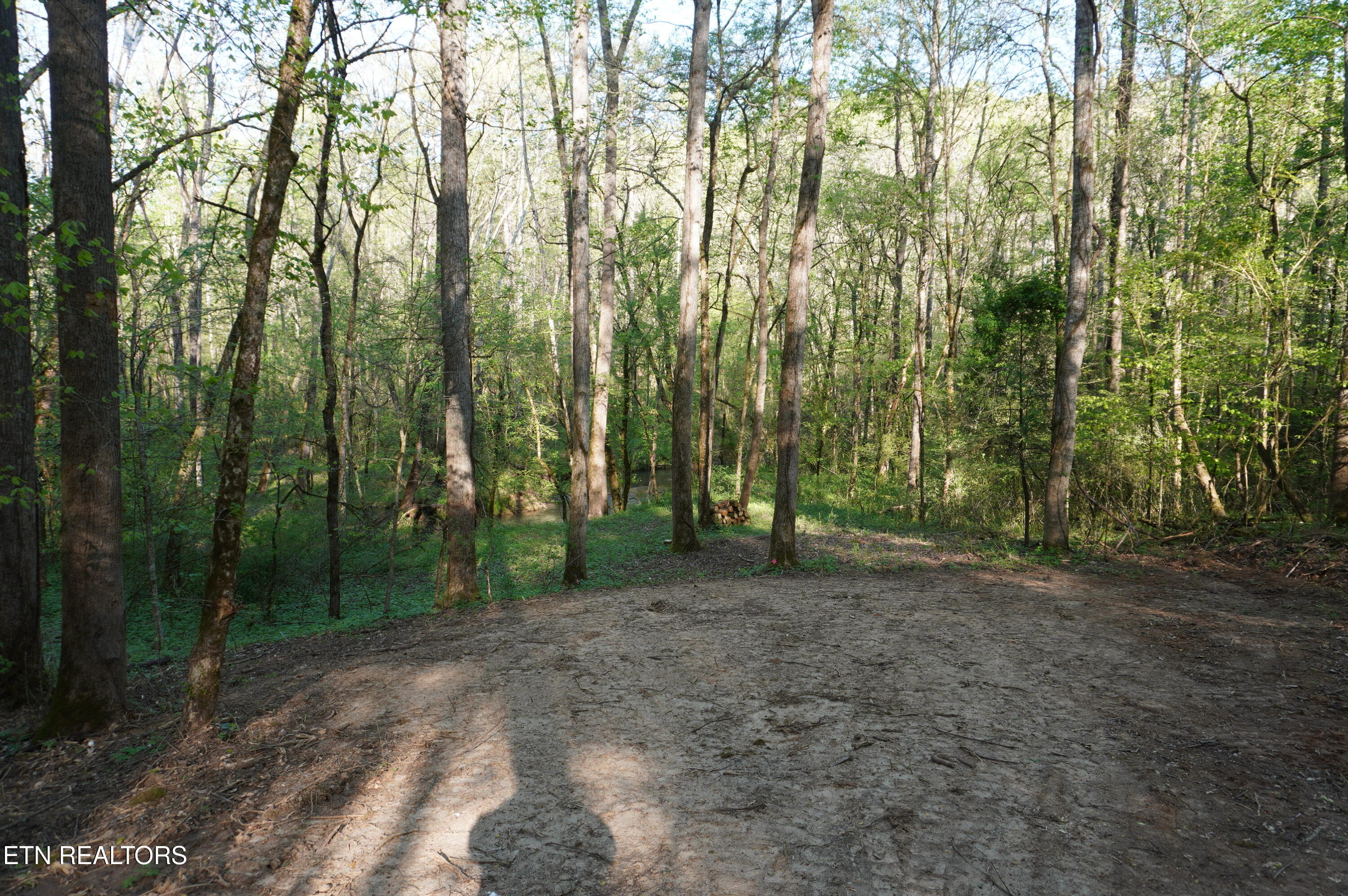1-2 Golf Course Road Newport, TN 37821 - Photo 19 of 31 LOT 1A golf course rd - davidson (31)