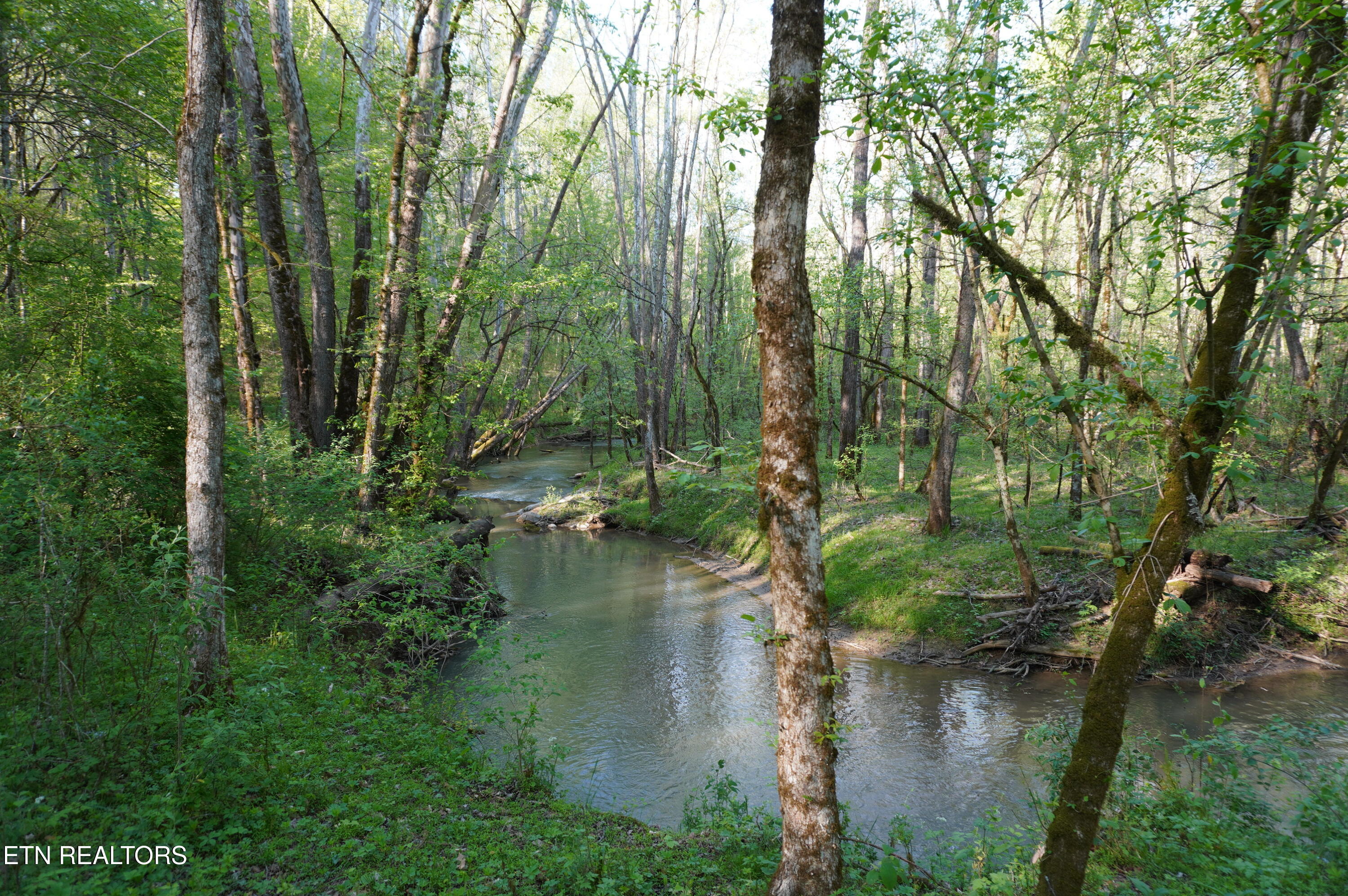 1-2 Golf Course Road Newport, TN 37821 - Photo 2 of 31 LOT 1A golf course rd - davidson (2)