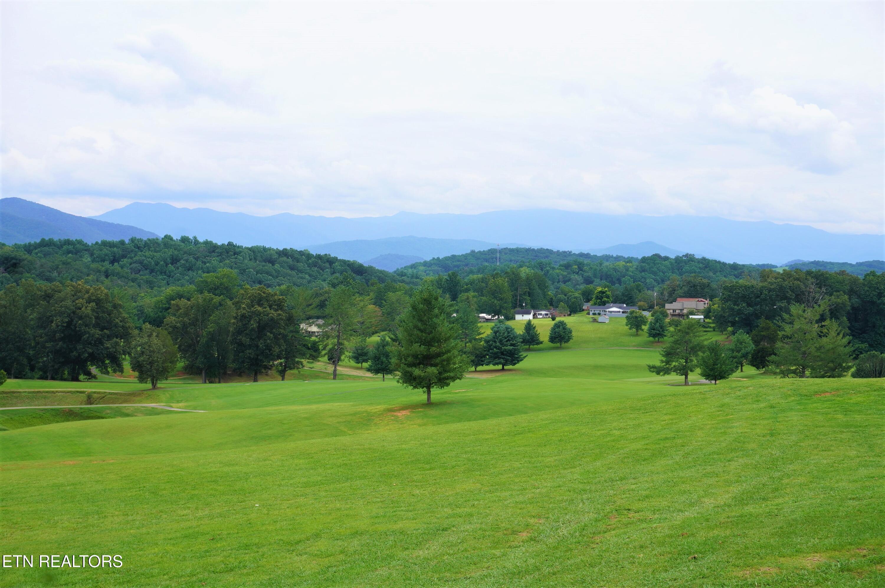 1-2 Golf Course Road Newport, TN 37821 - Photo 25 of 31 LOT 1A golf course rd - davidson (16)
