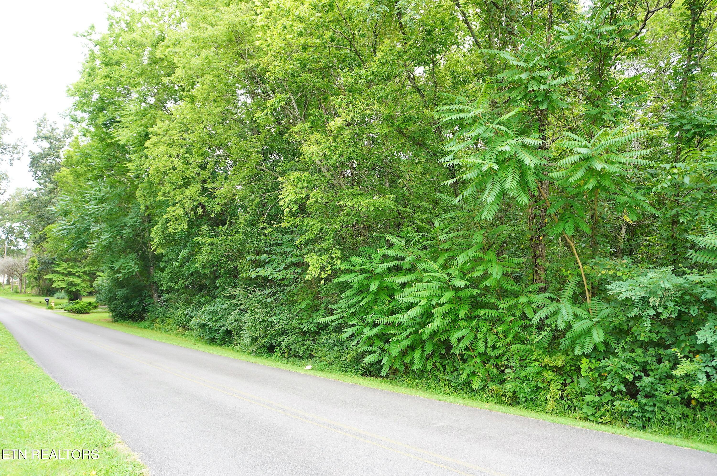 1-2 Golf Course Road Newport, TN 37821 - Photo 27 of 31 LOT 1A golf course rd - davidson (21)