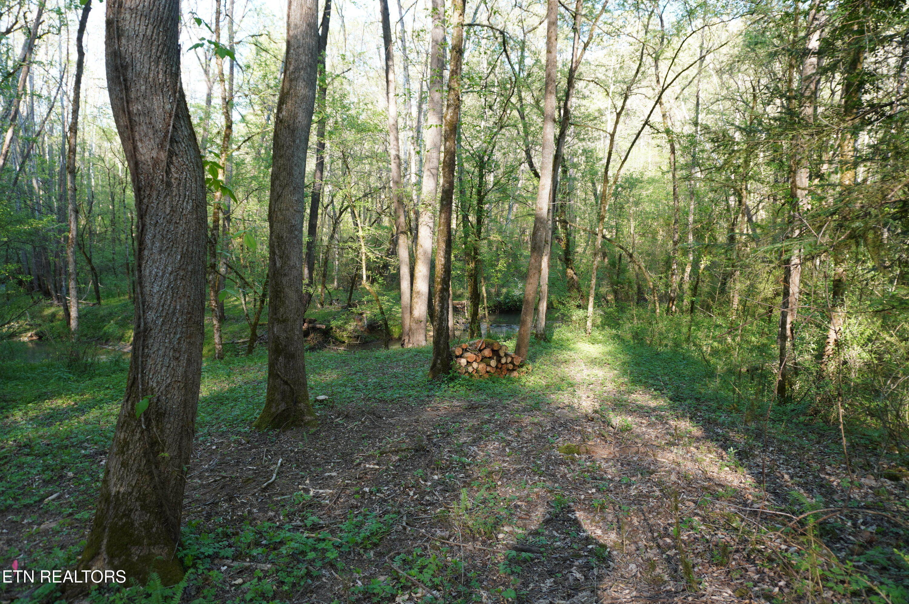 1-2 Golf Course Road Newport, TN 37821 - Photo 4 of 31 LOT 1A golf course rd - davidson (1)