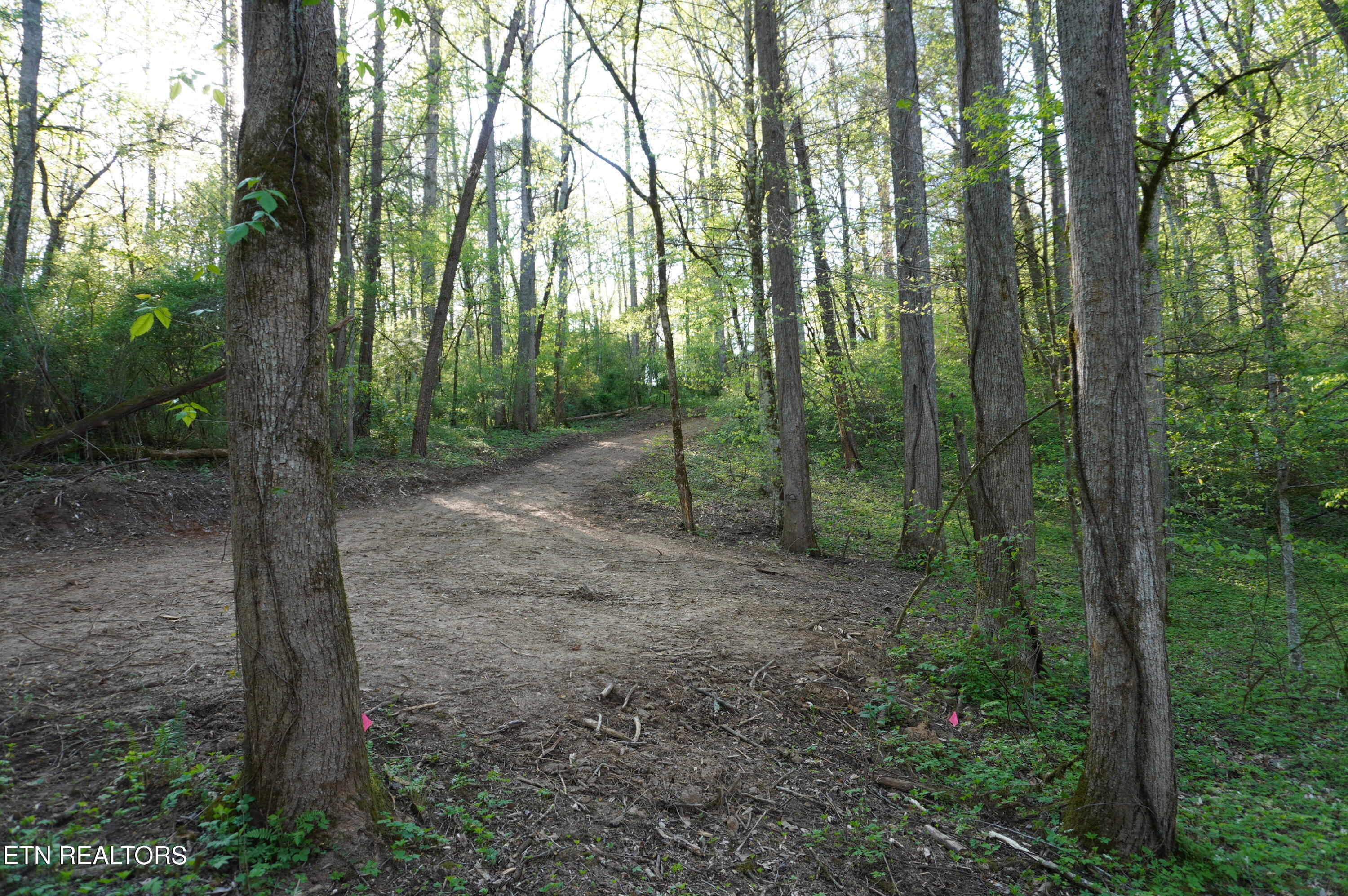 1-2 Golf Course Road Newport, TN 37821 - Photo 5 of 31 LOT 1A golf course rd - davidson (4)