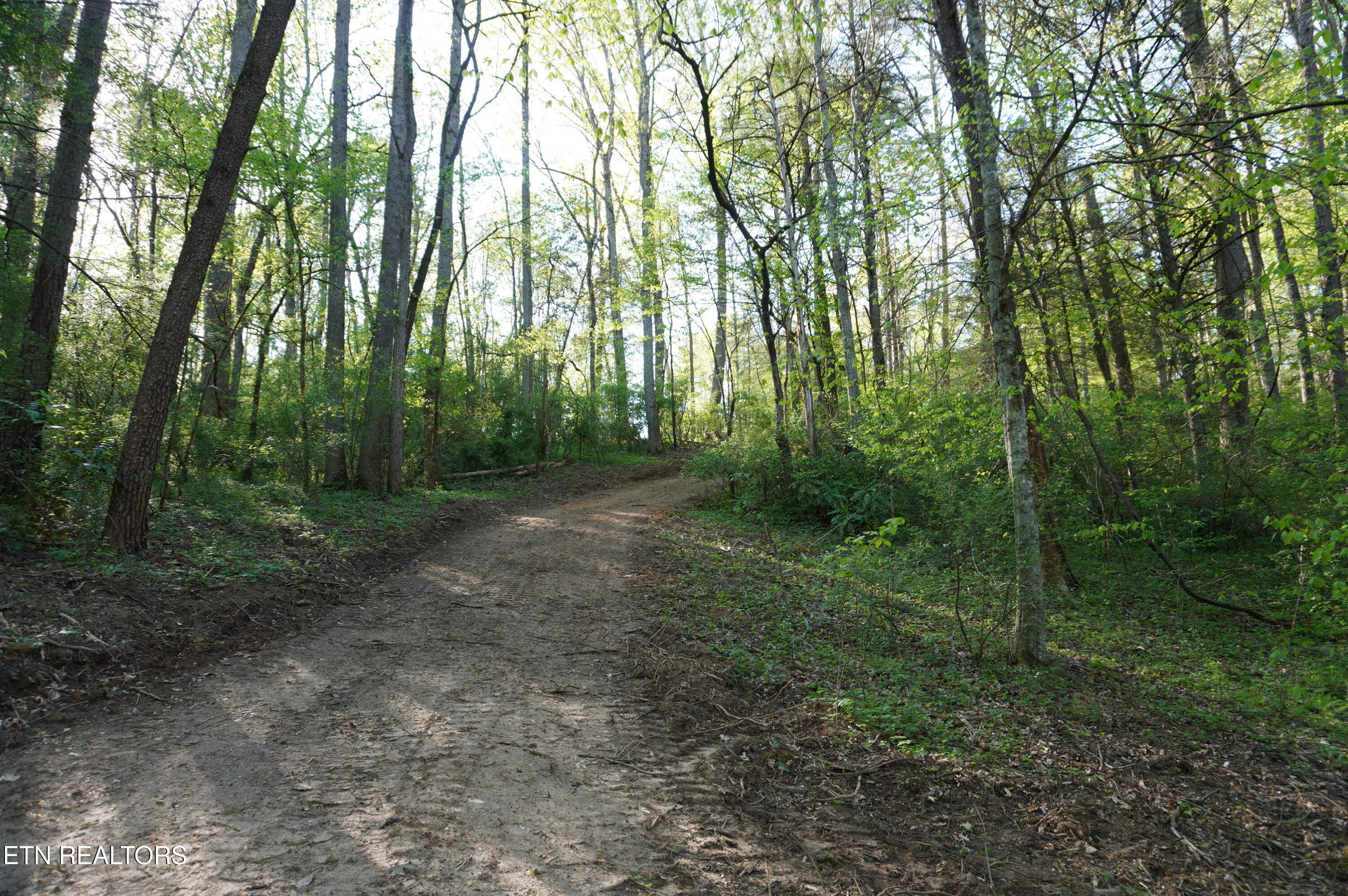 1-2 Golf Course Road Newport, TN 37821 - Photo 6 of 31 LOT 1A golf course rd - davidson (5)