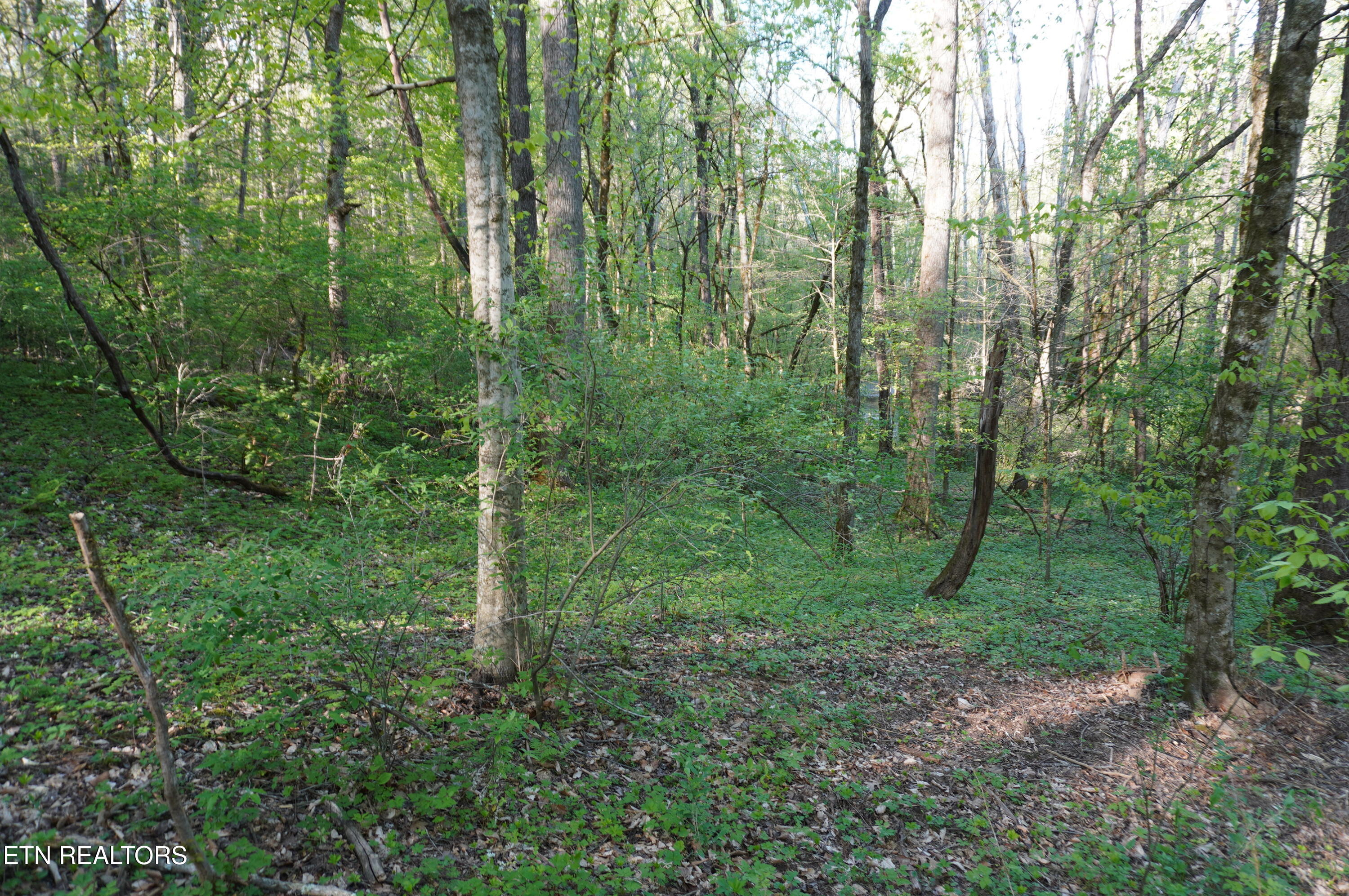 1-2 Golf Course Road Newport, TN 37821 - Photo 7 of 31 LOT 1A golf course rd - davidson (6)