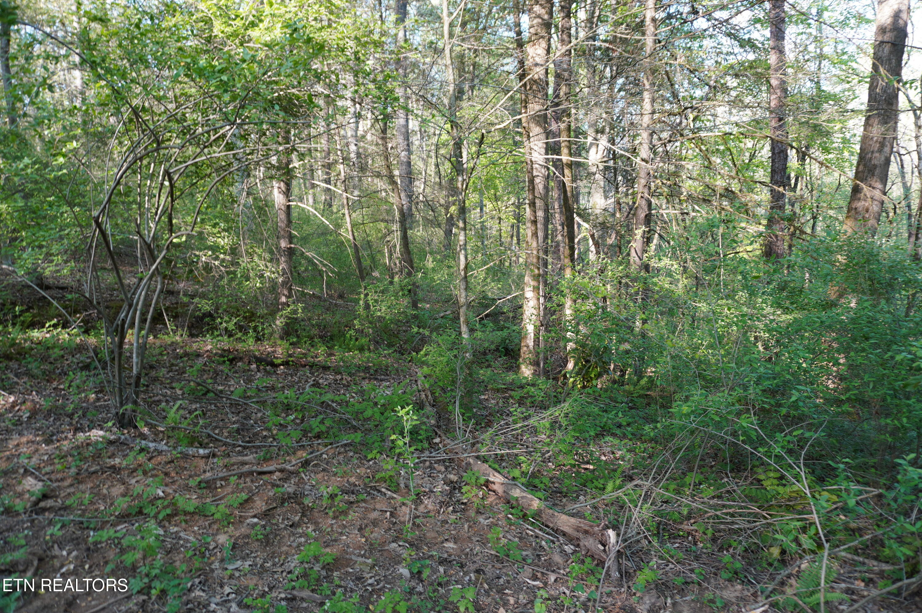 1-2 Golf Course Road Newport, TN 37821 - Photo 8 of 31 LOT 1A golf course rd - davidson (7)