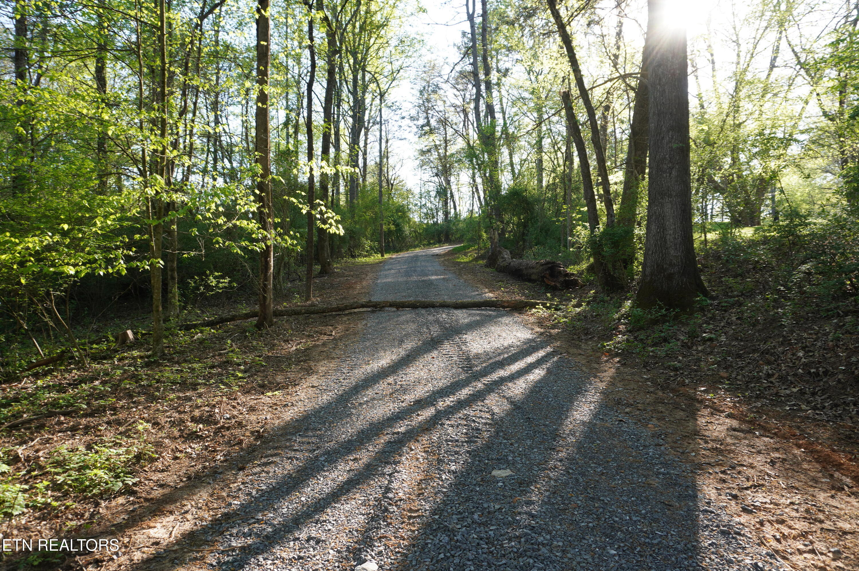 1-2 Golf Course Road Newport, TN 37821 - Photo 10 of 31 LOT 1A golf course rd - davidson (9)