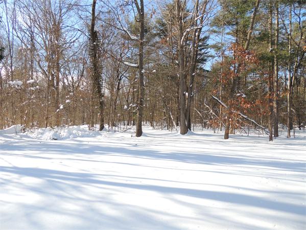 21 State Road Whately, MA 01373 - Photo 20 of 23 a view of a of house