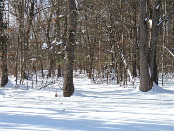 21 State Road Whately, MA 01373 - Photo 21 of 23 a view of a yard and basketball court
