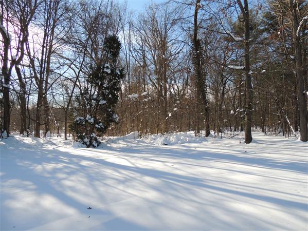 21 State Road Whately, MA 01373 - Photo 22 of 23