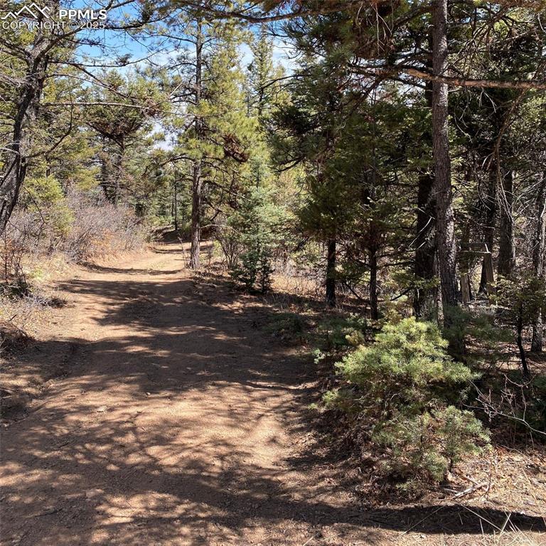 Little Turkey Creek Road Colorado Springs, CO 80926 - Photo 13 of 29 a view of a yard with a tree