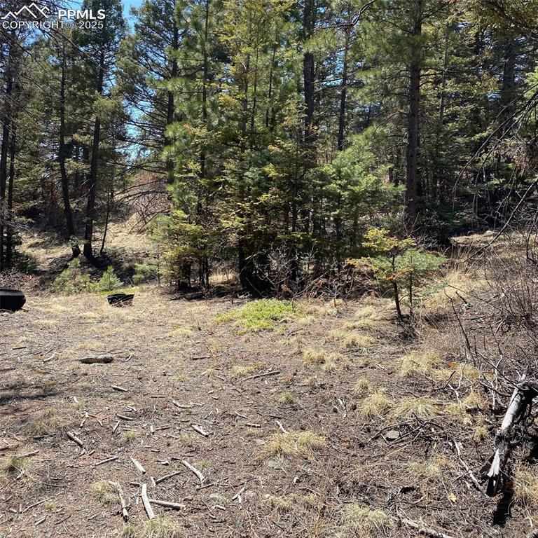 Little Turkey Creek Road Colorado Springs, CO 80926 - Photo 14 of 29 a view of a yard with plants and trees
