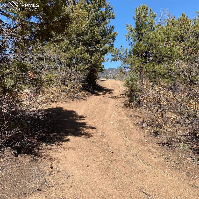 Little Turkey Creek Road Colorado Springs, CO 80926 - Photo 18 of 29 a view of outdoor space and covered with fog
