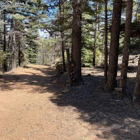 a view of a yard covered with snow