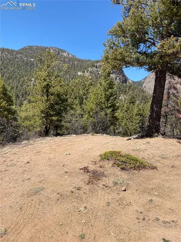 a view of a yard covered with snow