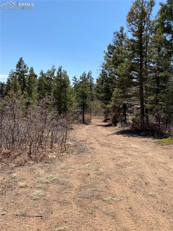 Little Turkey Creek Road Colorado Springs, CO 80926 - Photo 23 of 29 a view of outdoor space with trees