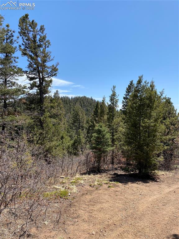 Little Turkey Creek Road Colorado Springs, CO 80926 - Photo 24 of 29 a view of a yard with a tree