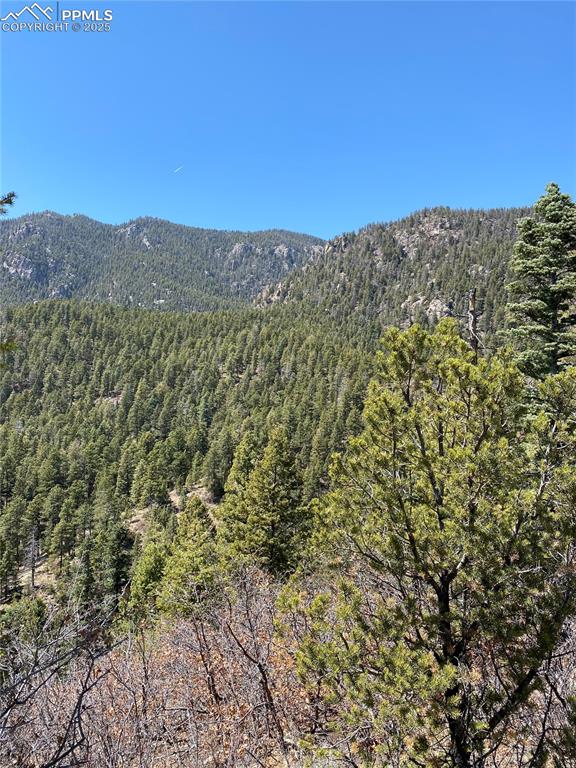 Little Turkey Creek Road Colorado Springs, CO 80926 - Photo 27 of 29 a view of a mountain