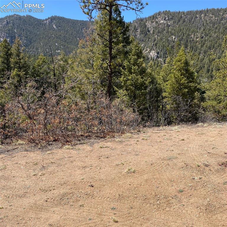 Little Turkey Creek Road Colorado Springs, CO 80926 - Photo 3 of 29 a view of a yard covered in snow