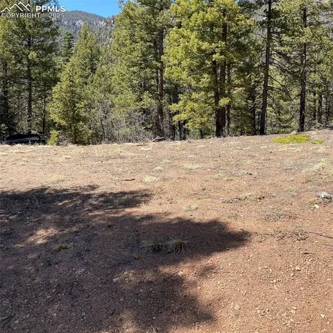 a view of a yard with a tree