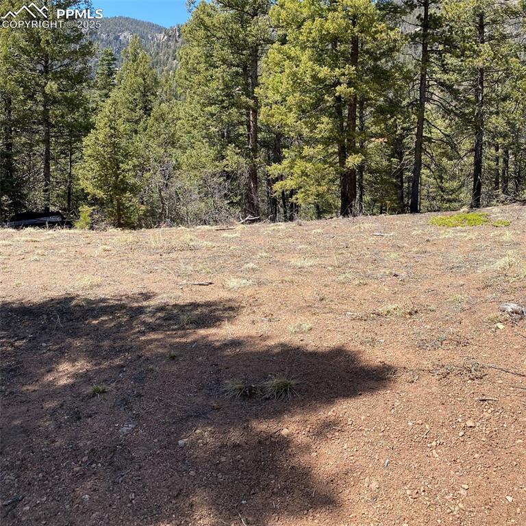 Little Turkey Creek Road Colorado Springs, CO 80926 - Photo 4 of 29 a view of large yard with trees