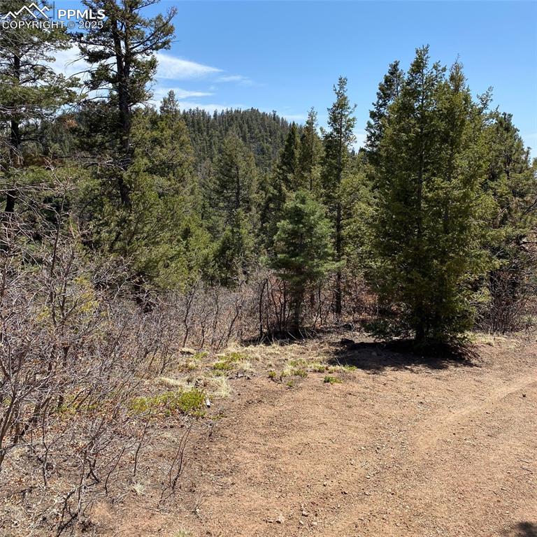 Little Turkey Creek Road Colorado Springs, CO 80926 - Photo 8 of 29 a view of a yard with trees in the background