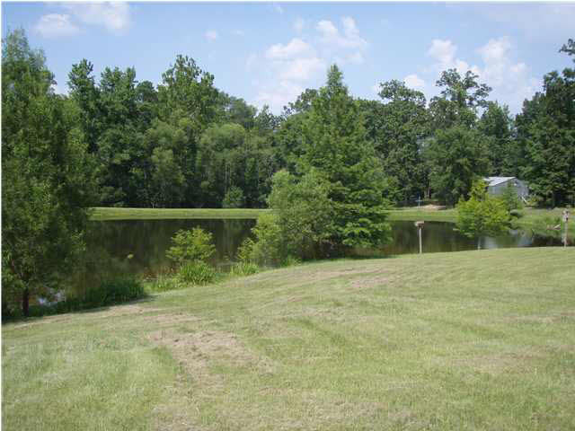 10318 Springridge Road Terry, MS 39170 - Photo 18 of 25 Look at the view!
