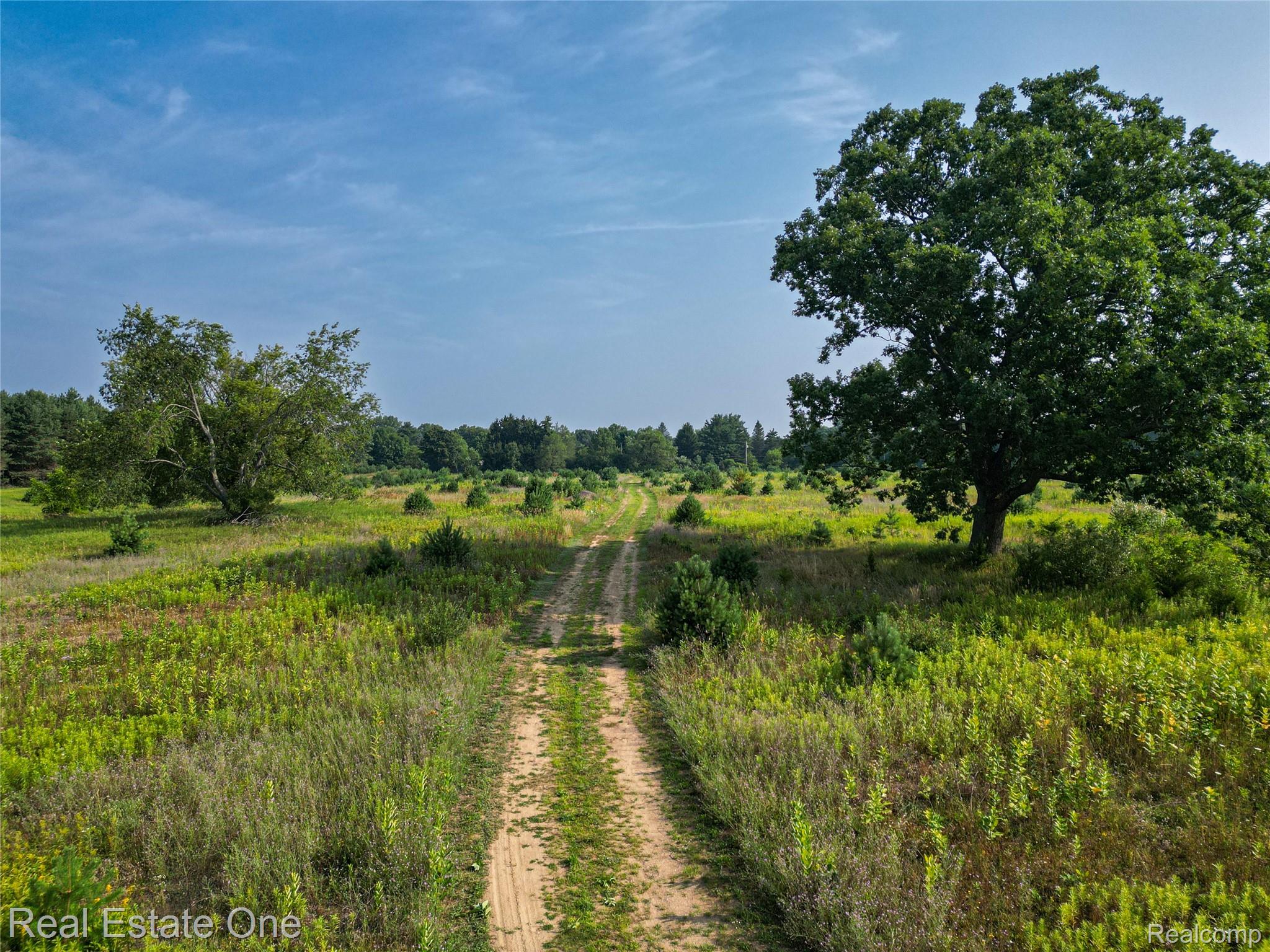1915 North Hickory Ridge Road Highland, MI 48357 - Photo 5 of 11 29.24 Acres! Estate Home or three 8-acre lots!