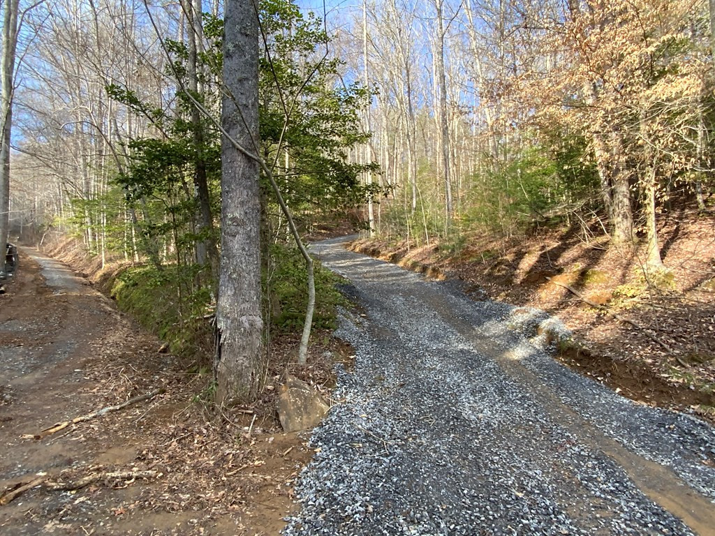 Lot 16 Ivy Log Road Warne, NC 28909 - Photo 9 of 16