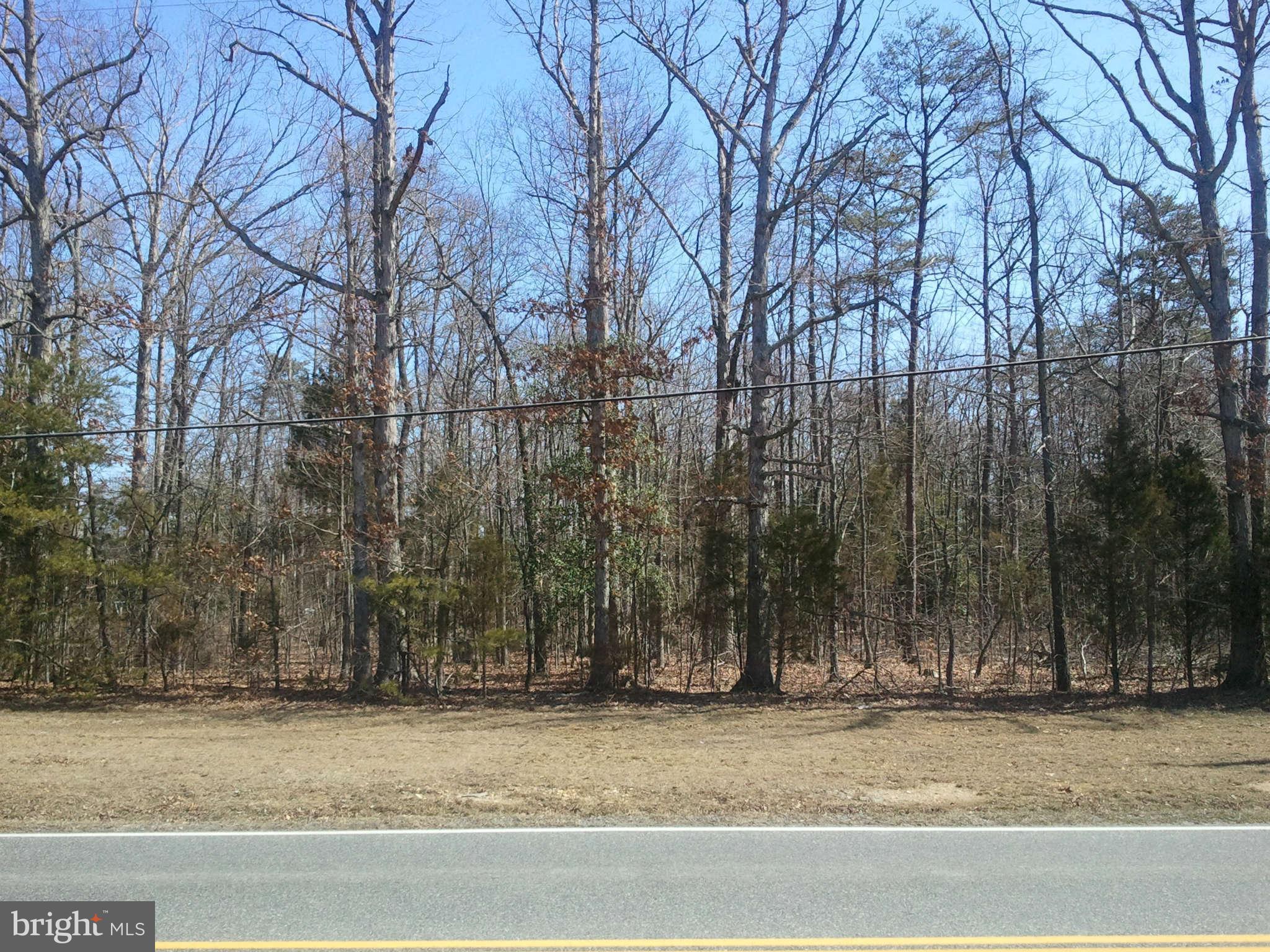 6907 Smith Station Road Spotsylvania, VA 22553 - Photo 1 of 1 Exterior (Front)