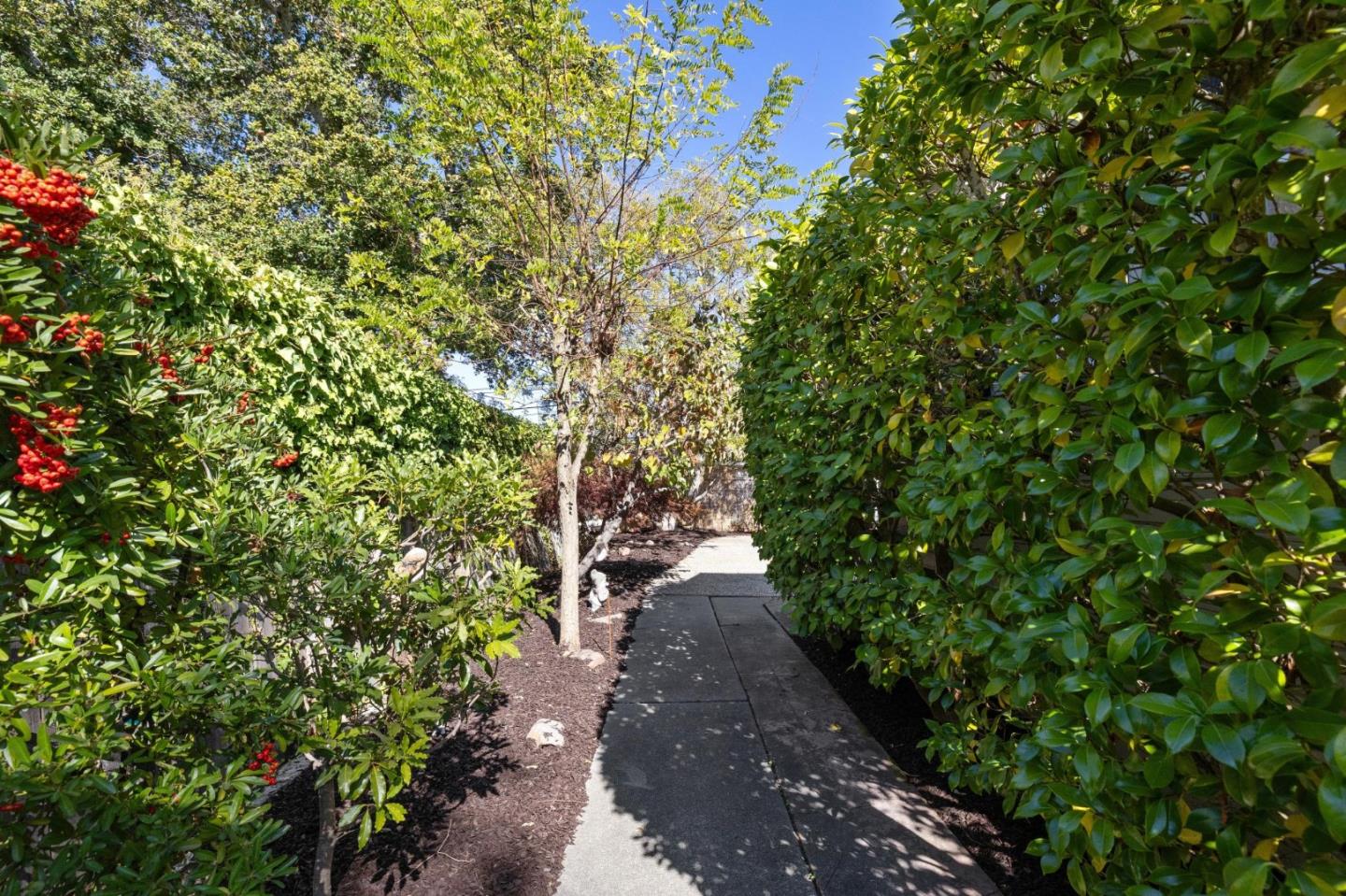 1820 Broadway Burlingame, CA 94010 - Photo 51 of 55 a view of a pathway both side of yard
