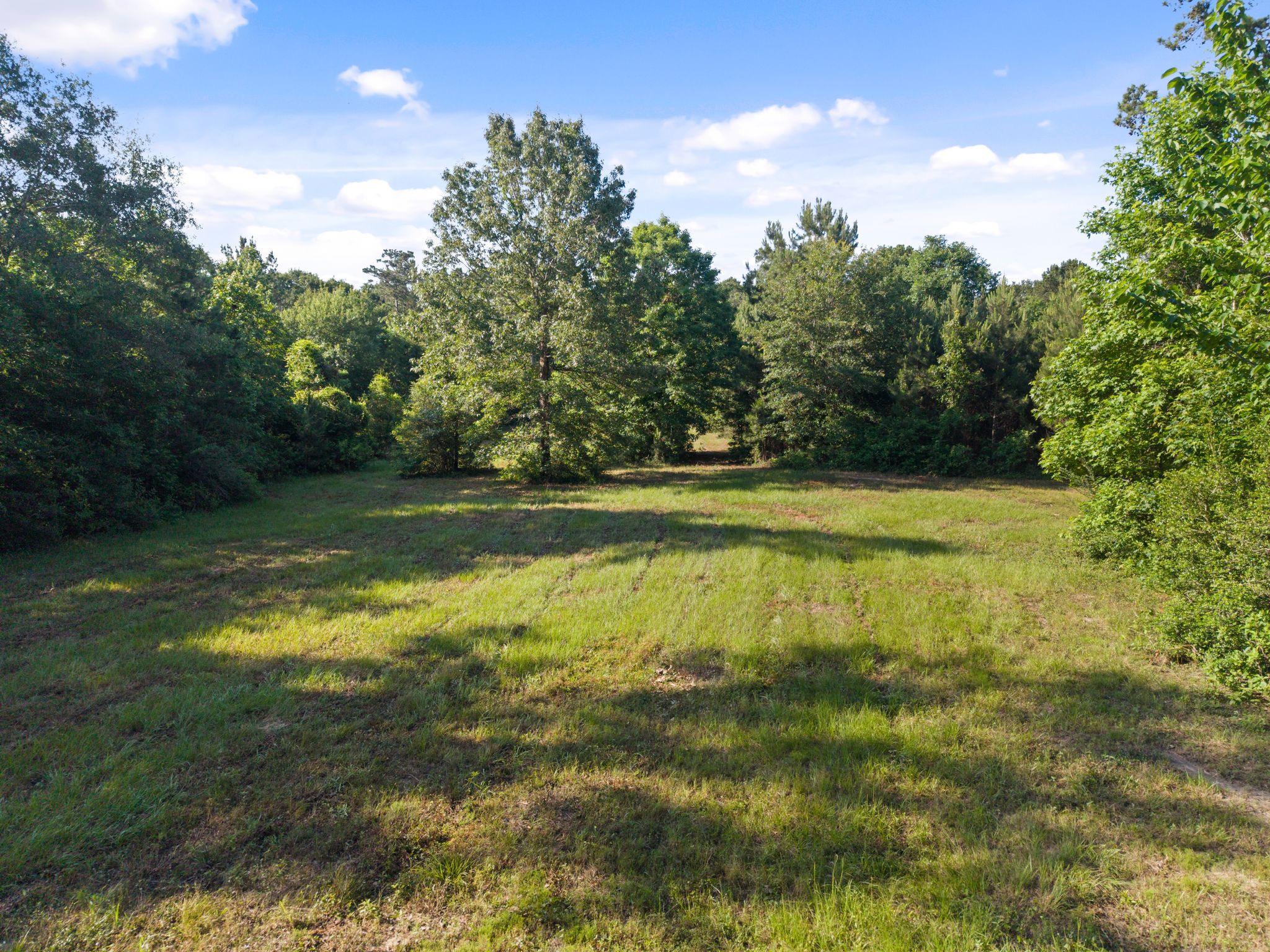 200 Spring Ridge Road Coldspring, TX 77331 - Photo 7 of 18 a view of a yard