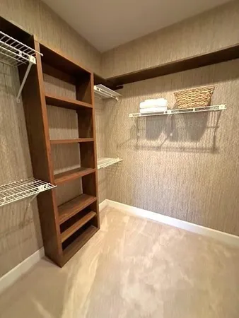a view of walk in closet with empty racks