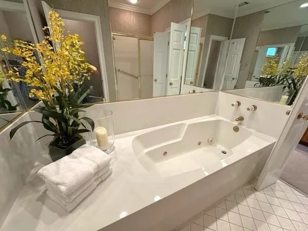 a bathroom with a bathtub and shower