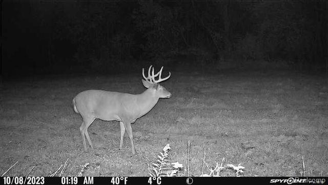 Lot 1 East Clyde Road Howell, MI 48855 - Photo 29 of 29