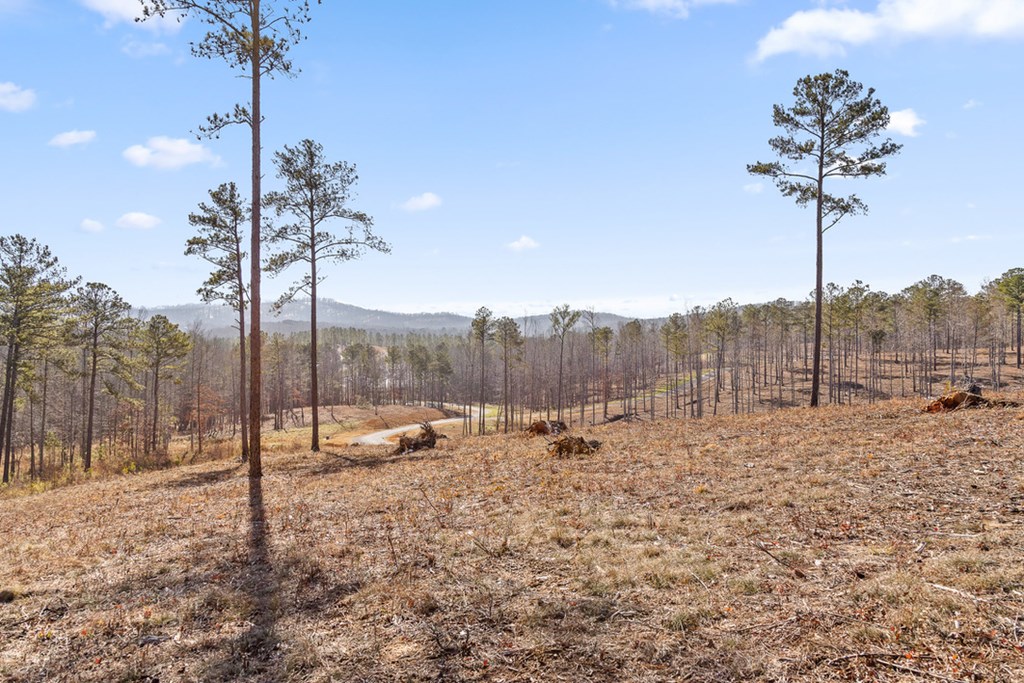 Lot 293 Twisted Oak Road Talking Rock, GA 30175 - Photo 17 of 46 Gallery Image 17