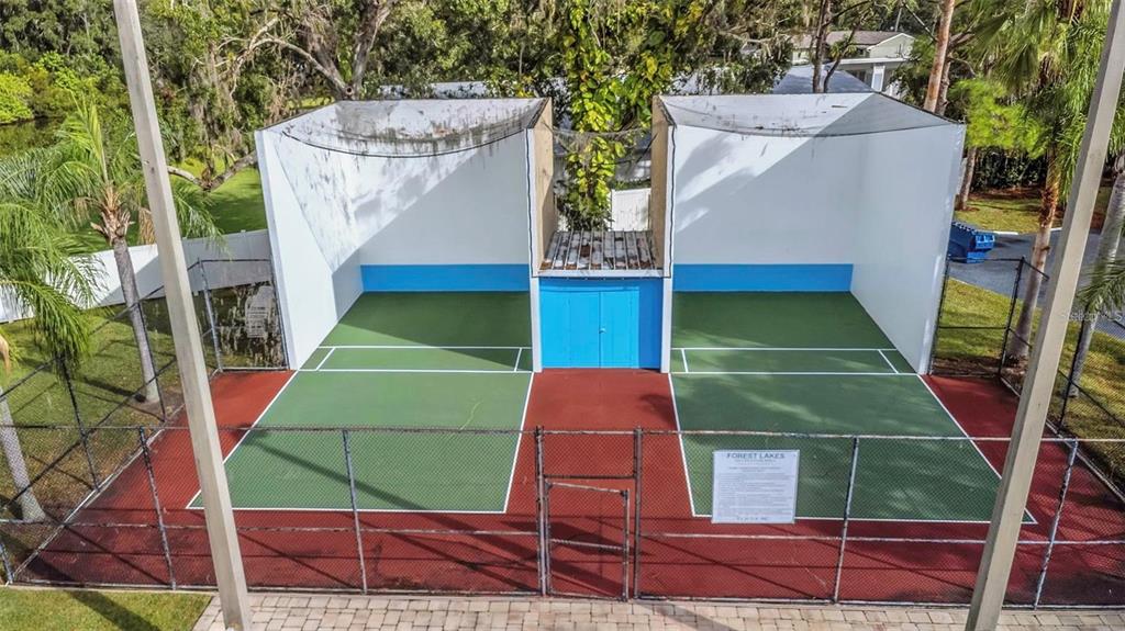 412 Cedar Ridge Court Oldsmar, FL 34677 - Photo 27 of 27