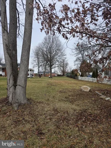 a view of a tree in a yard