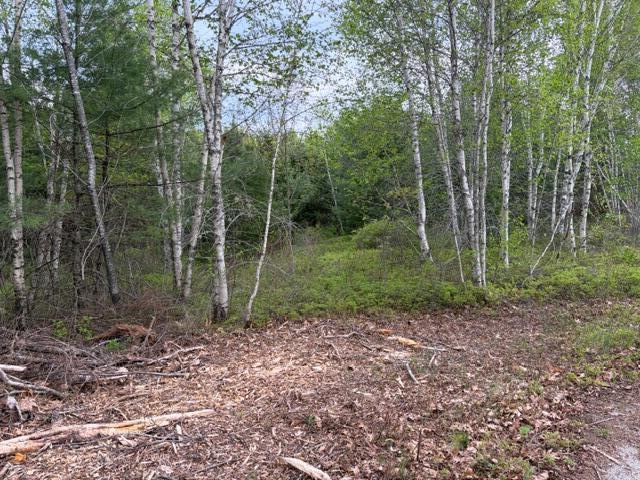 Lot #8 Thayer Road Ellsworth, ME 04605 - Photo 1 of 4 IMG_6872