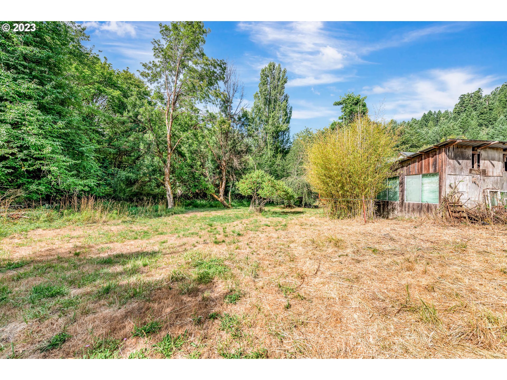 21696 High Pass Road Blachly, OR 97412 - Photo 26 of 44 Gallery Image 26