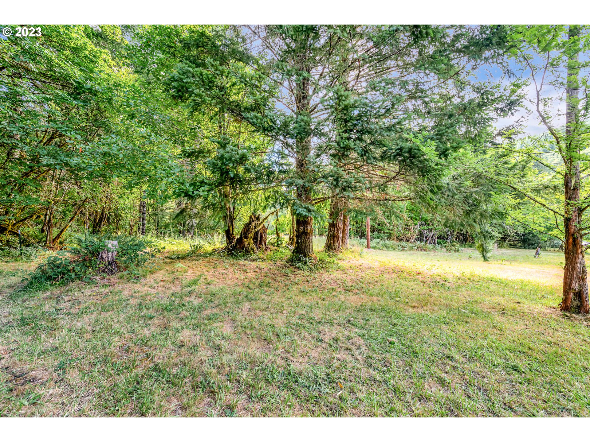 21696 High Pass Road Blachly, OR 97412 - Photo 30 of 44 Gallery Image 30