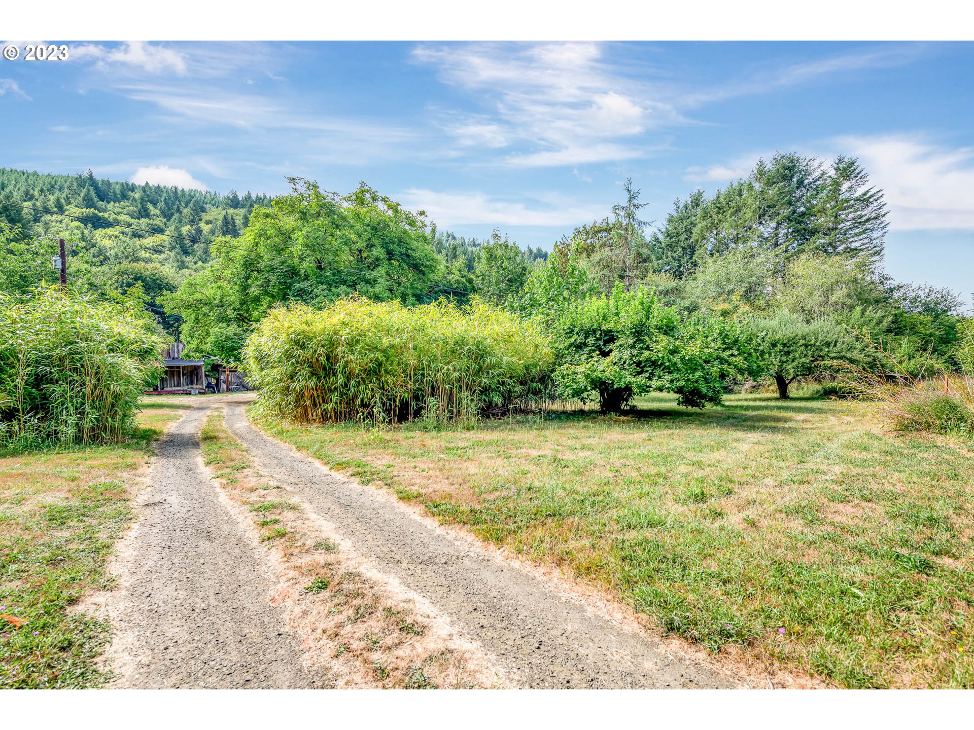 21696 High Pass Road Blachly, OR 97412 - Photo 31 of 44 Gallery Image 31